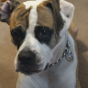 Meet your Posher, Tamera-lynn